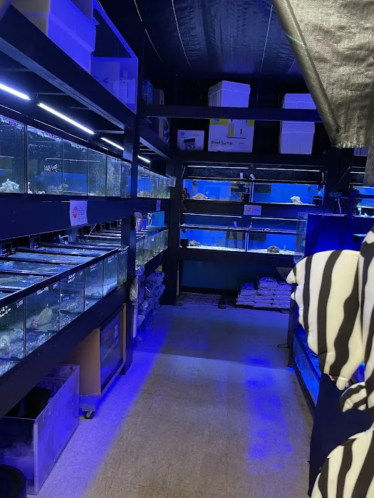 Easy Aquariums - Westbrook Picture 10