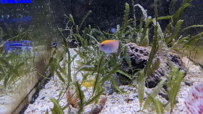 Easy Aquariums - Westbrook Picture 8