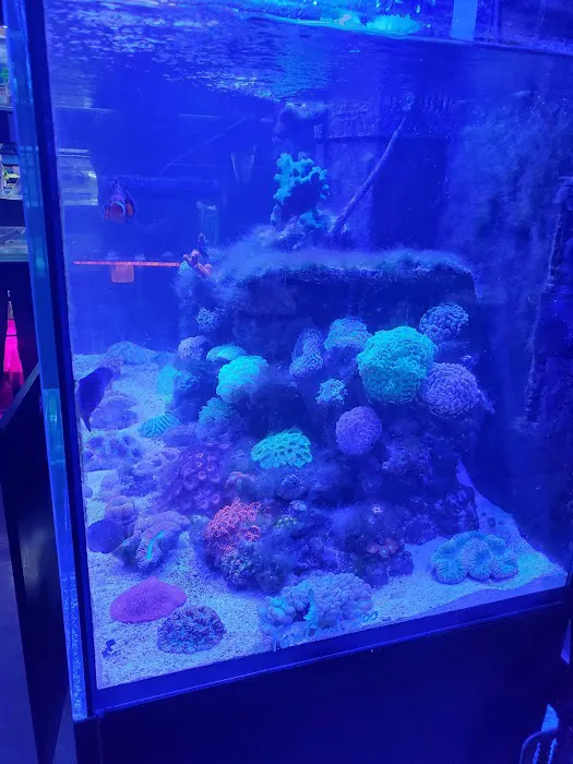 Easy Aquariums - Westbrook Picture 3