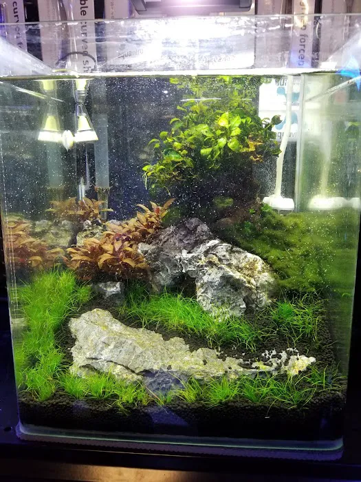 Easy Aquariums - Westbrook Picture 4
