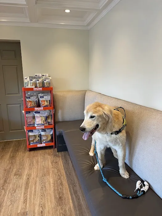 Fort Lee Animal Clinic Picture 1