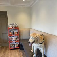 Fort Lee Animal Clinic ico