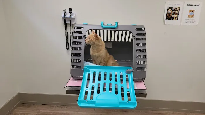 Fort Lee Animal Clinic Picture 2