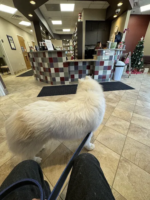 Oradell Veterinary Group of Fort Lee Picture 8
