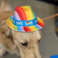 Oradell Veterinary Group of Fort Lee ico