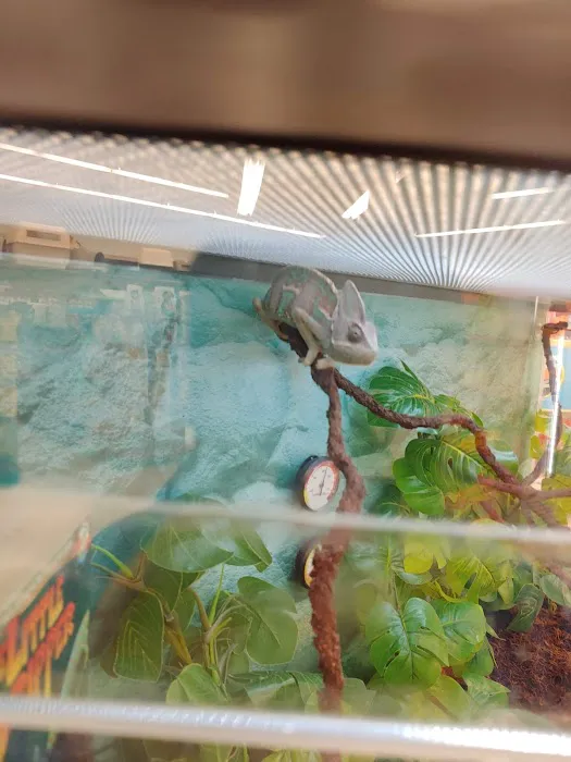 Petco Picture 2