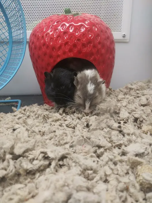 Petco Picture 8