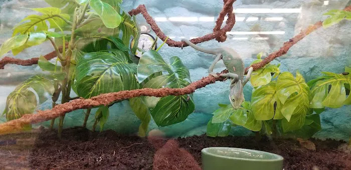 Petco Picture 10