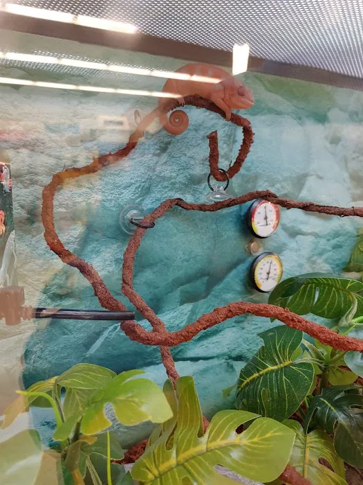 Petco Picture 3