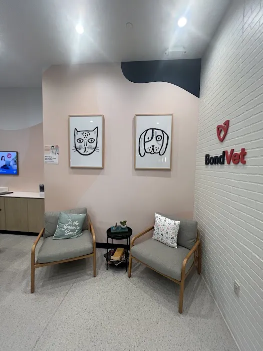 Bond Vet - Edgewater Picture 6