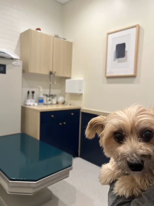 Bond Vet - Edgewater Picture 4
