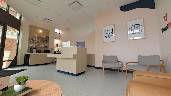Bond Vet - Edgewater Picture 3