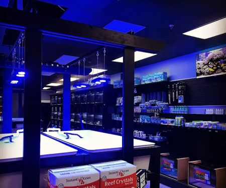 Corals Unlimited Aquarium Store & Services