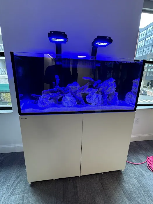 Corals Unlimited Aquarium Store & Services Picture 4