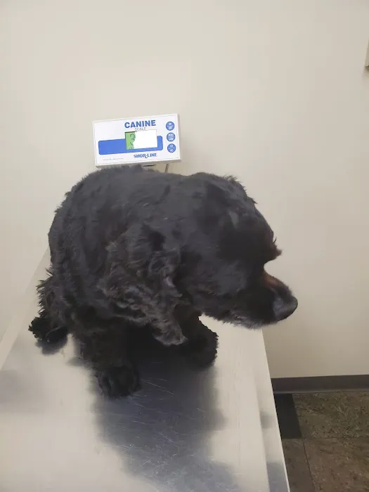 Edgewater Animal Hospital Picture 2