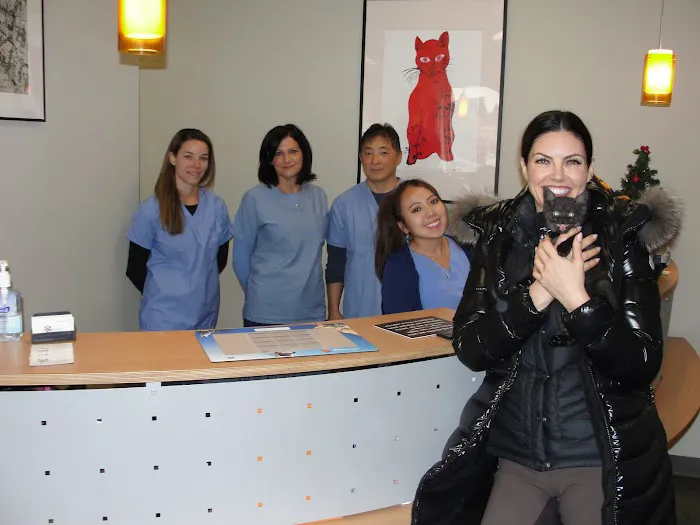 Edgewater Animal Hospital Picture 1