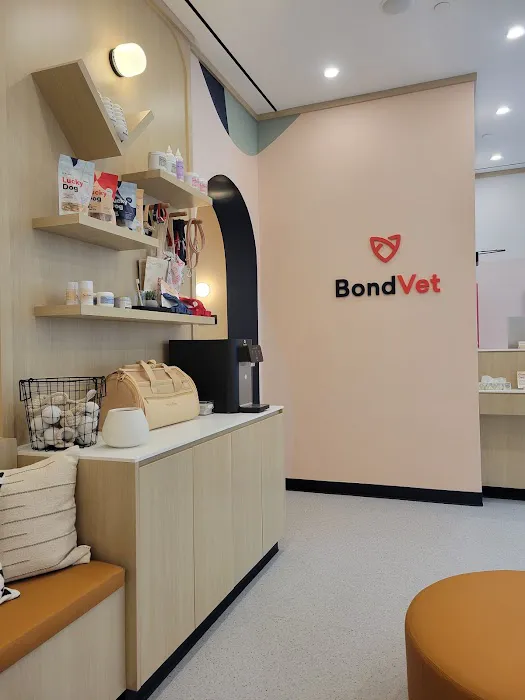 Bond Vet - Upper West Side at 112th Street Picture 3