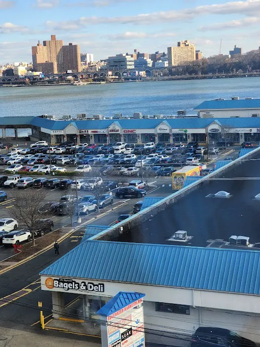 Animal General on Hudson Picture 2