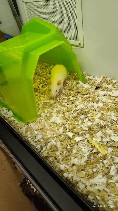 Petco Picture 8