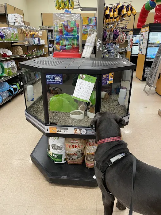 Petco Picture 6