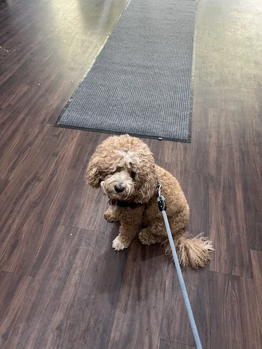 Riverside Animal Hospital North Picture 1