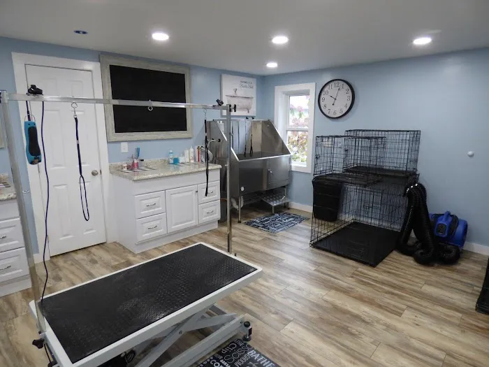 Birch Point Dog Spa Picture 8