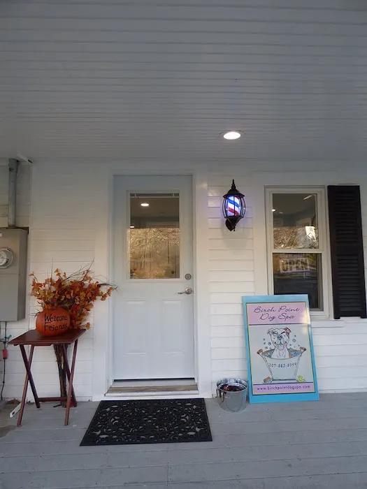 Birch Point Dog Spa Picture 7