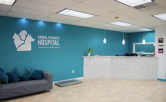 Animal Paradise Hospital Picture 2