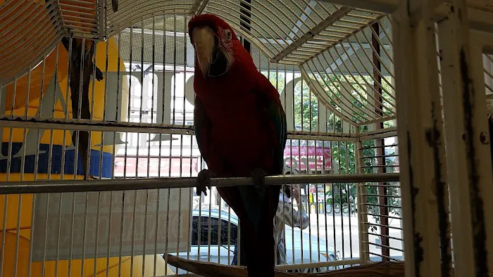 Animal Paradise Hospital Picture 10