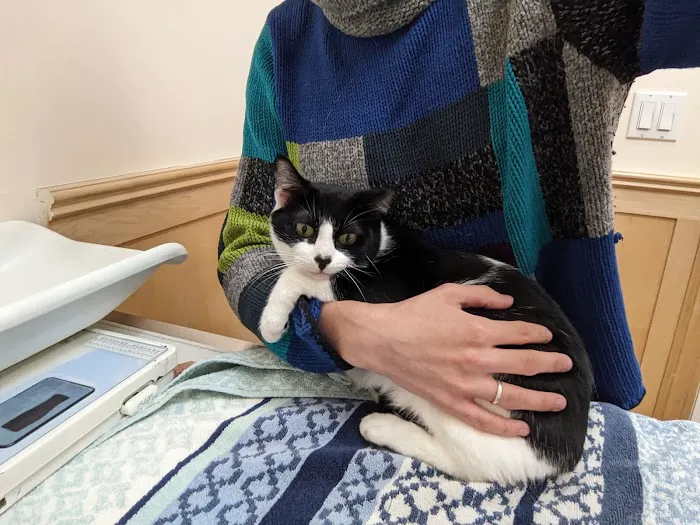 Symphony Veterinary Center Picture 1