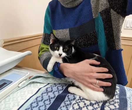 Symphony Veterinary Center