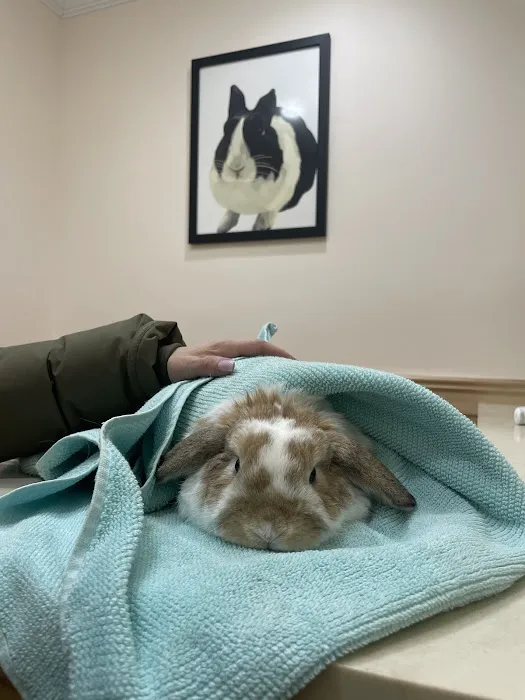 Symphony Veterinary Center Picture 4