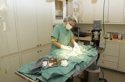 Symphony Veterinary Center Picture 6