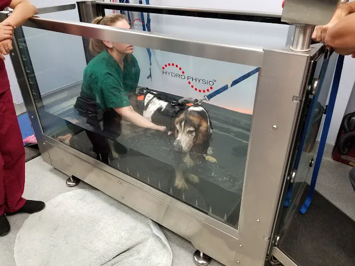 CANINE REHAB of NEW YORK Picture 2