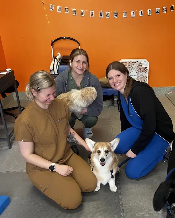 CANINE REHAB of NEW YORK Picture 1