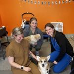 CANINE REHAB of NEW YORK