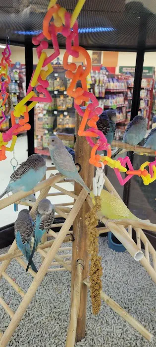 Petco Picture 4