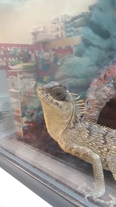 Petco Picture 7