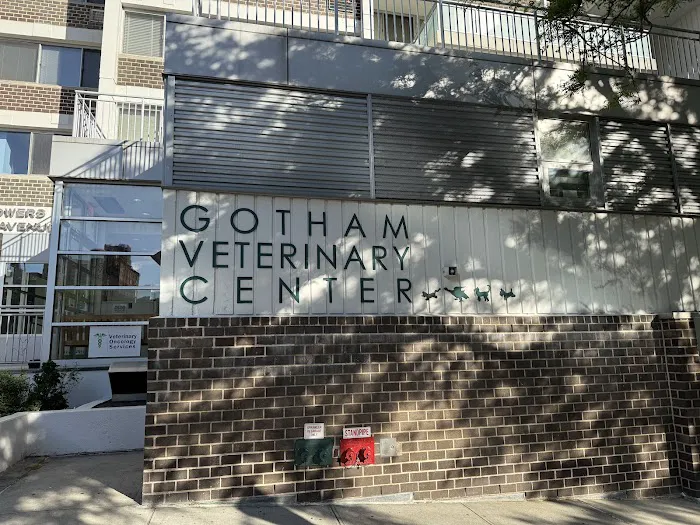 Gotham Veterinary Center Picture 3