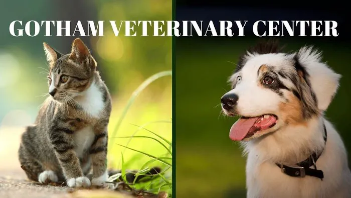 Gotham Veterinary Center Picture 8