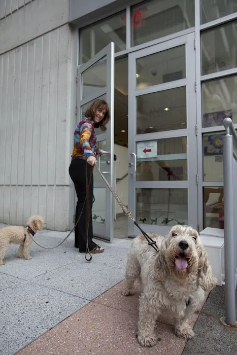 Gotham Veterinary Center Picture 7