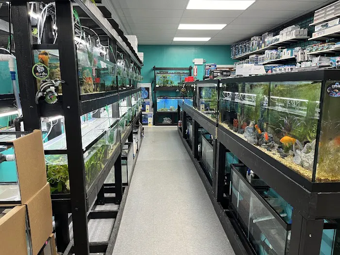 Fish Tails Pet Emporium Picture 7