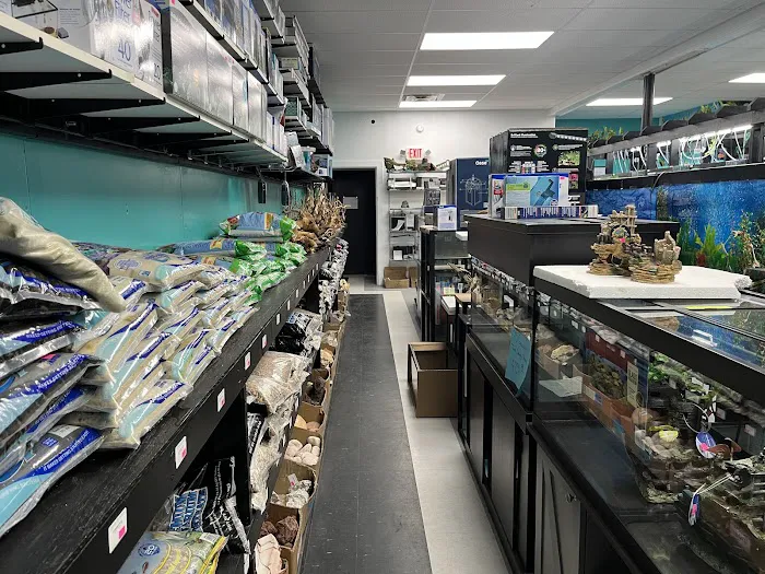 Fish Tails Pet Emporium Picture 9