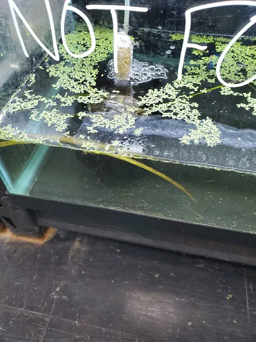 Fish Tails Pet Emporium Picture 1