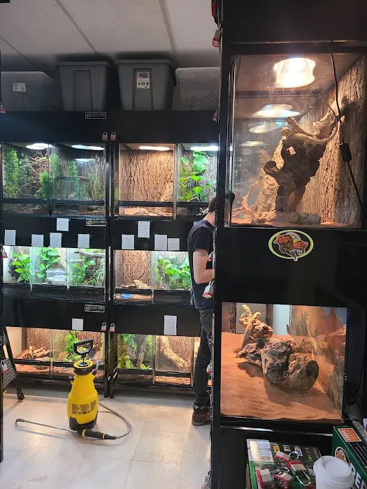 Fish Tails Pet Emporium Picture 3