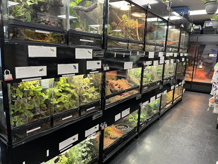 Fish Tails Pet Emporium Picture 10