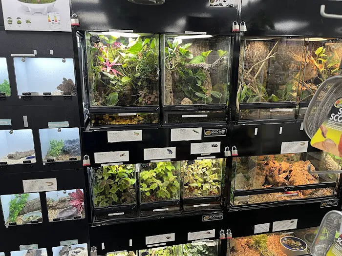 Fish Tails Pet Emporium Picture 8