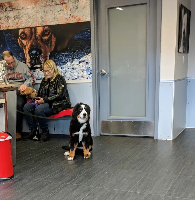 Petchester Veterinary Picture 6
