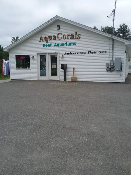 AquaCorals Reef Aquariums Picture 5