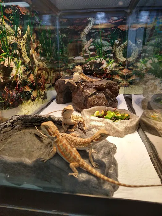 Family Pet Connection Picture 4